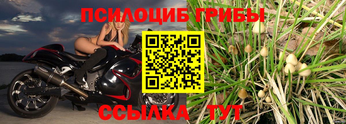 Галлюциногенные грибы прущие грибы Большой Камень